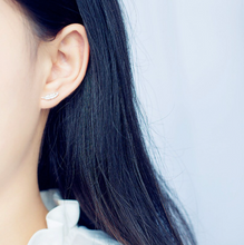 Load image into Gallery viewer, Feather Stud Earrings

